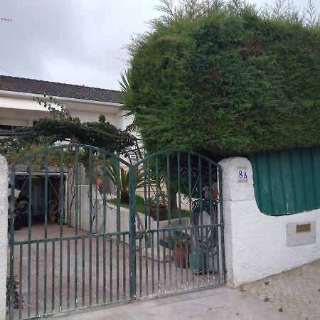 Casa Dos Cedros Guest House Setubal Exterior photo